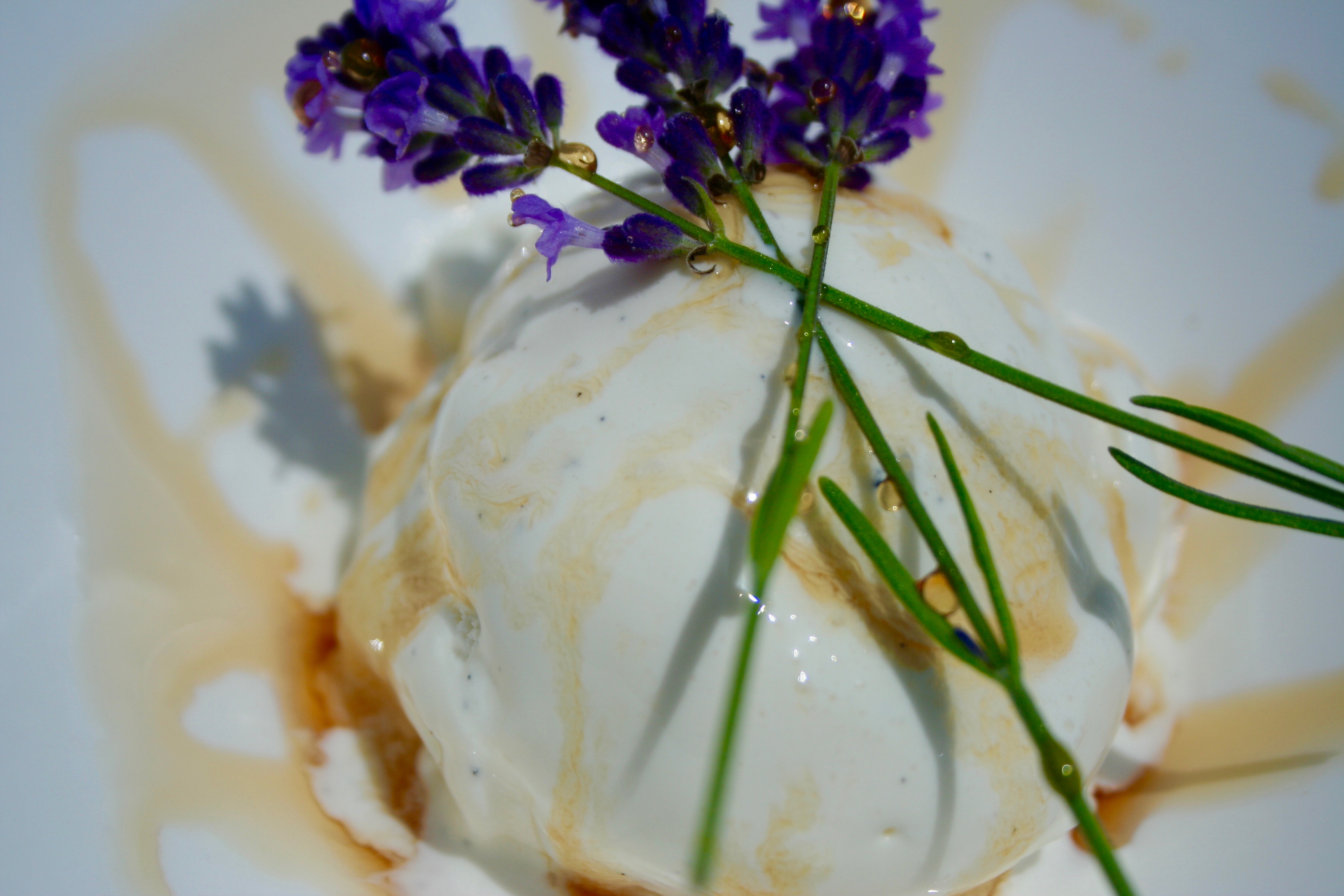 Urban Orchard’s Spicy Cider Syrup Over Ice Cream post image